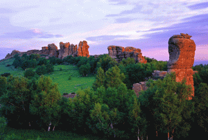 °¢Ë¹¹þͼʯÁÖ